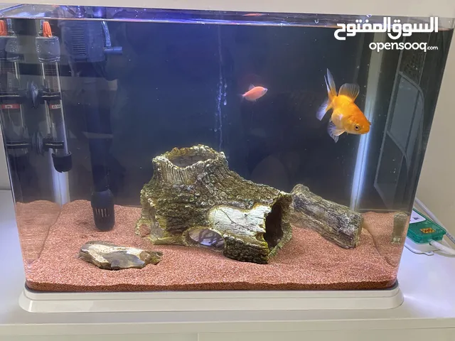 Fish tank 50x35cm