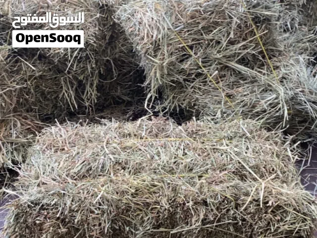 برايد انتاج جديد يتوفر نقل بنول