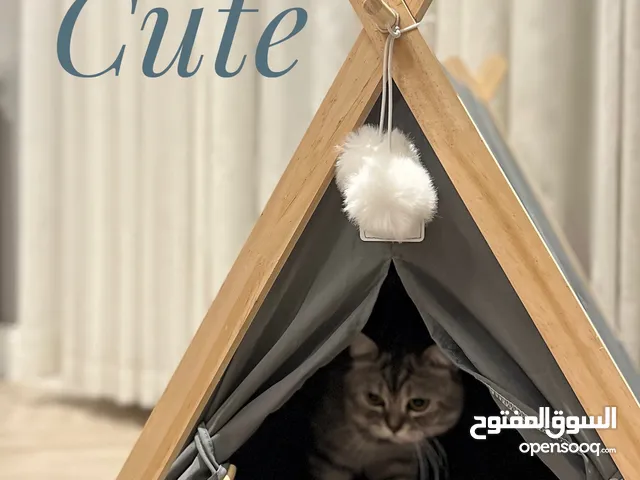 بيت قطط للبيع : بيت للقطط للبيع في الكويت على السوق المفتوح | السوق المفتوح