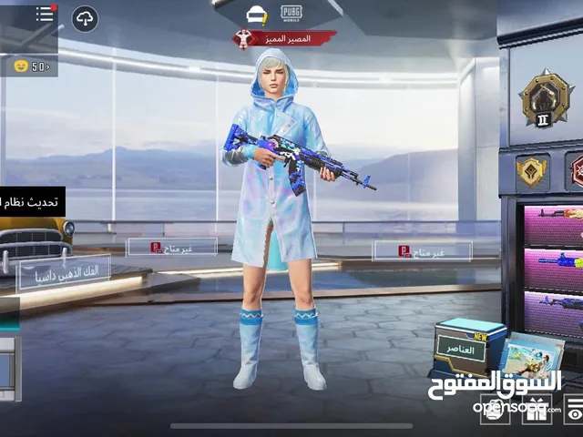 Pubg Accounts and Characters for Sale in Mafraq