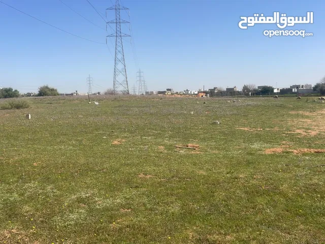 Mixed Use Land for Sale in Tripoli Saleem St