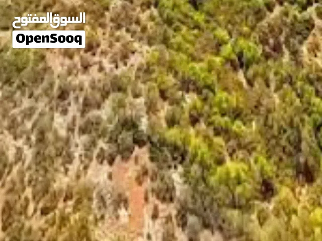 Residential Land for Sale in Benghazi Qawarsheh