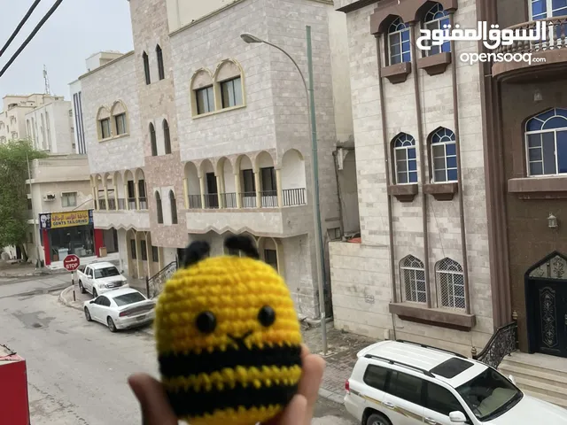 العاب قطط و كلاب صغيره
