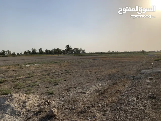 Farm Land for Sale in Baghdad Abu Ghraib