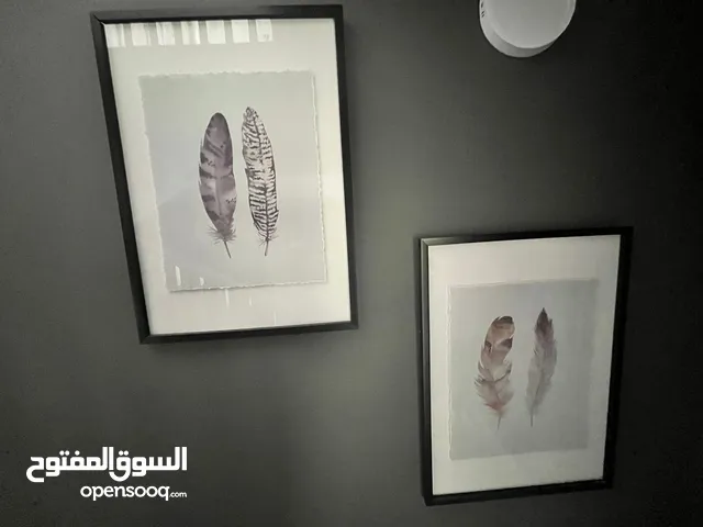 Pair of monotone glass framed feather prints