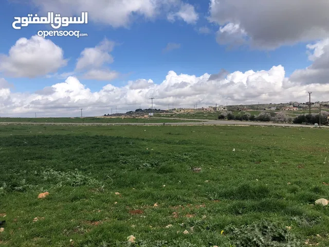 Residential Land for Sale in Amman Husban