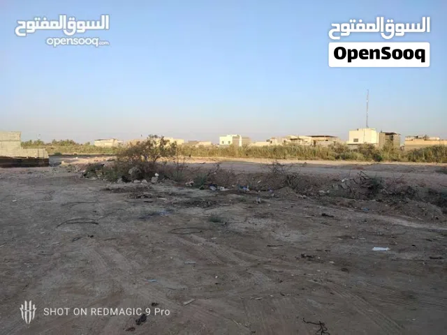 Farm Land for Sale in Basra Firuziyah