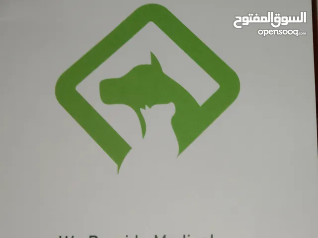 قطه للبيع معها جواز سفر ومطاعيم عمرها خمس اشهر نوعيه نادره جدا