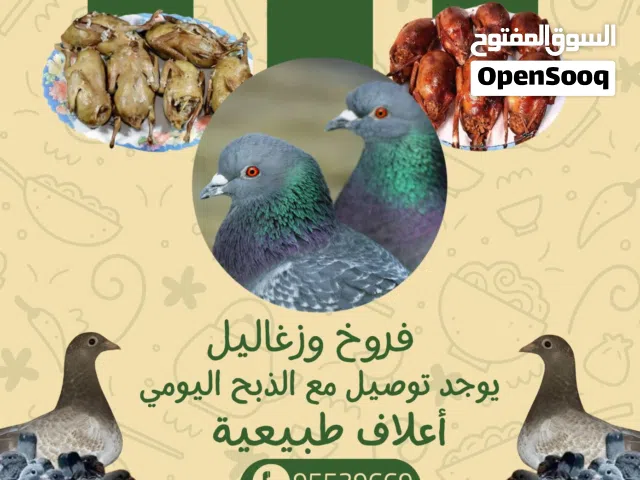 زغاليل زاجل