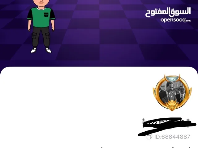 Accounts - Others Accounts and Characters for Sale in Al Batinah