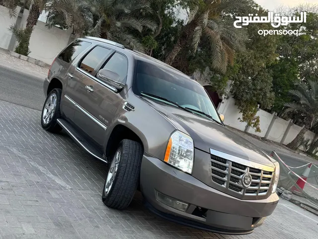 Used Cadillac Escalade in Ajman