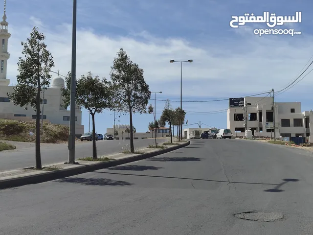 Residential Land for Sale in Amman Al-Dmenah