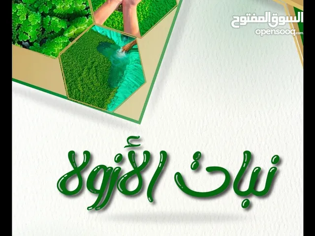علف نبات الازولا