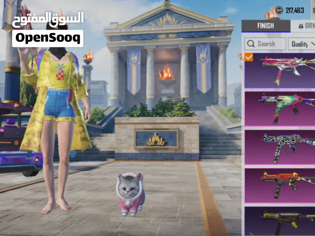 Pubg Accounts and Characters for Sale in Dubai
