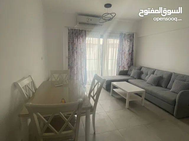 50 m2 Studio Apartments for Rent in Cairo Madinaty