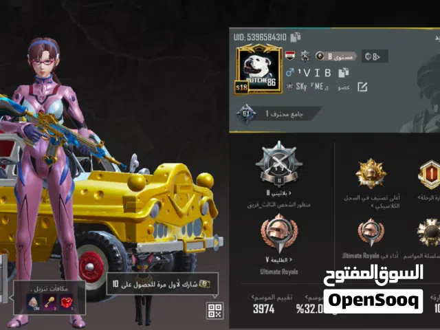 Pubg Accounts and Characters for Sale in Qadisiyah