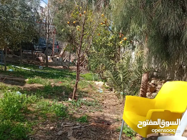 Residential Land for Sale in Zarqa Al mantika Al Hurra