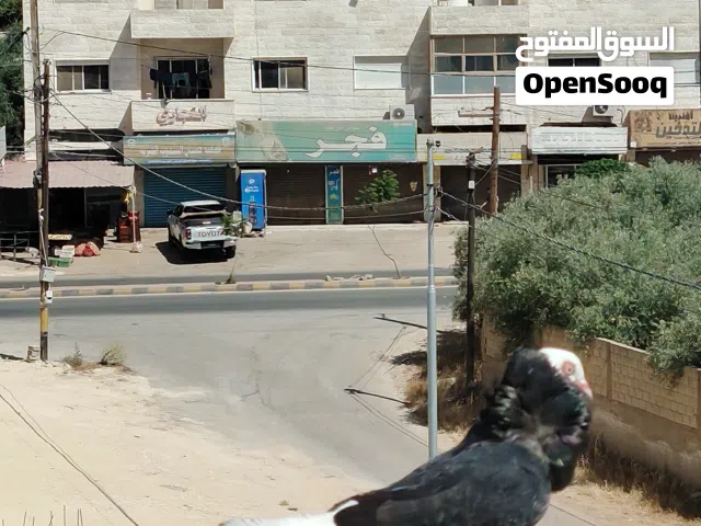 فحول كش