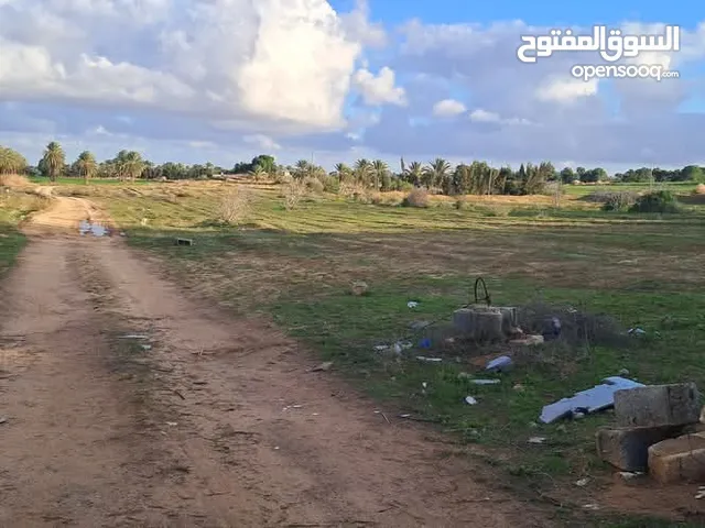 قطعه ارض في الدفنيه بالقرب من مسجد الشلتات