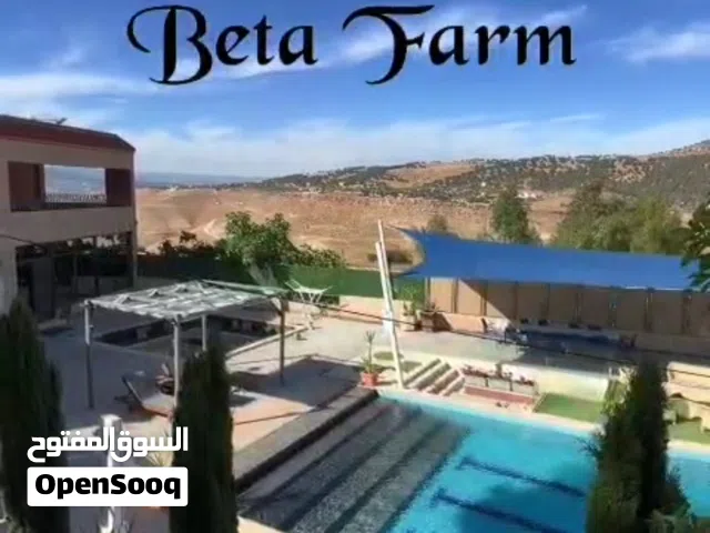 3 Bedrooms Chalet for Rent in Salt Al Balqa'