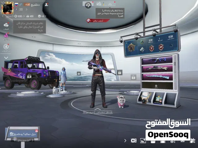 Pubg Accounts and Characters for Sale in Basra