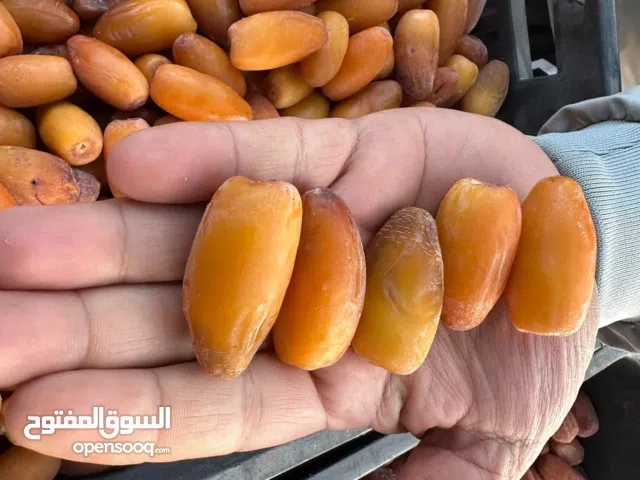 تمور الجفرة دقلة ممتازة