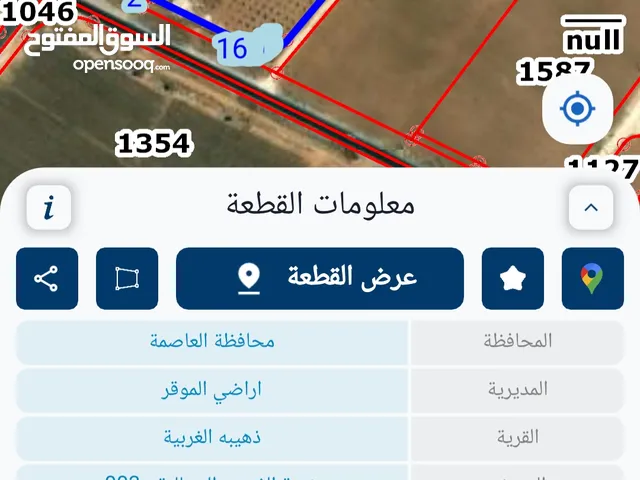 Farm Land for Sale in Amman Al-Dhuheibah Al-Gharbiyah