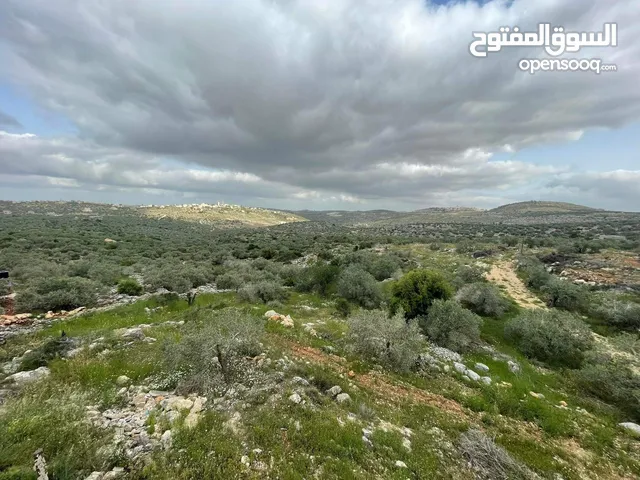 منزل قيد الإنشاء جاهز منه غرفة وحمام وبرندة على قطعة ارض 3250 متر فيه بئر ماء مخدوم ماء وكهرباء