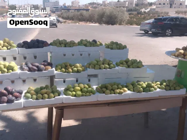 10 جواز حمام بلدي