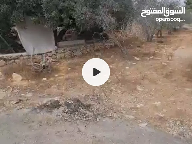 Mixed Use Land for Sale in Hebron Other