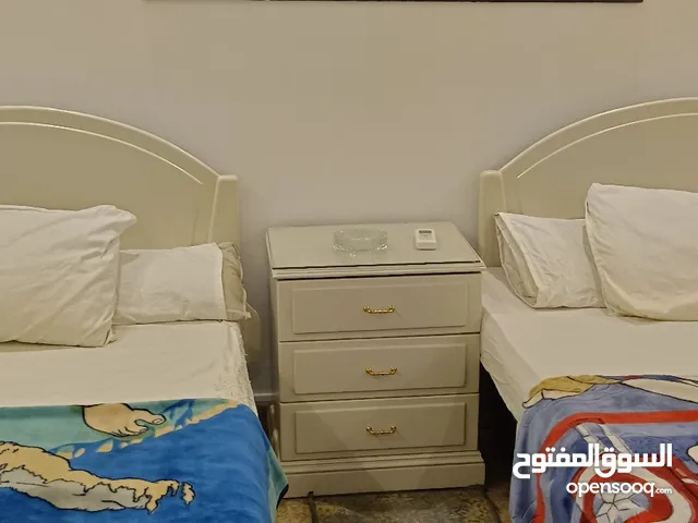251 m2 3 Bedrooms Apartments for Rent in Cairo Nasr City