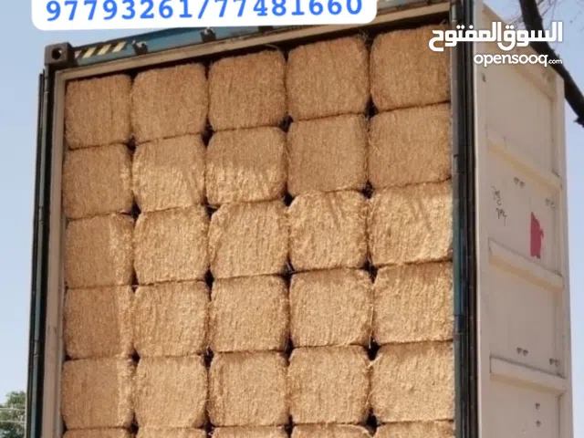 تبن القمح ممتاز  للمواشي