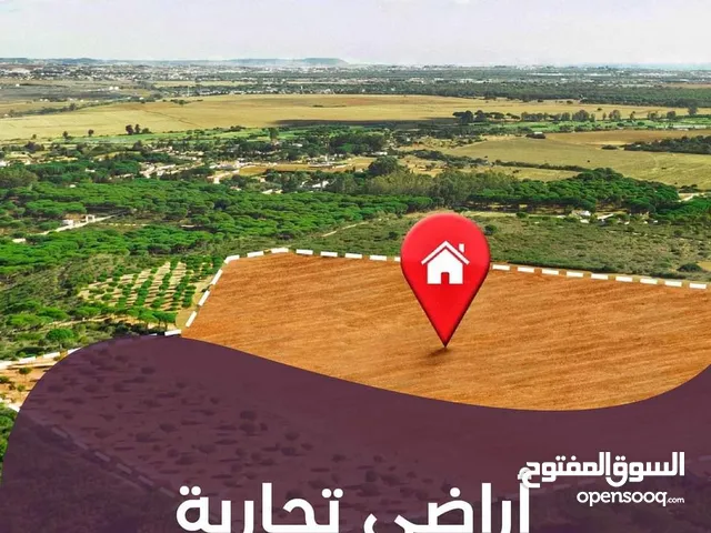 Mixed Use Land for Sale in Hebron Bani Naim