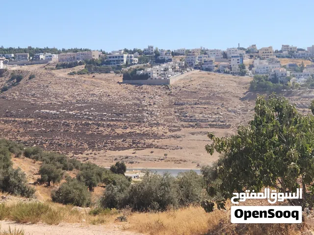 Residential Land for Sale in Amman Bilal