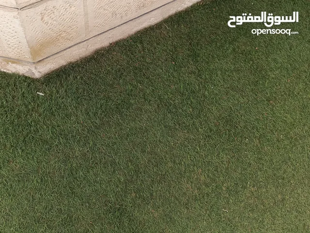 قطعتين عشب صناعي للحديقه 4متر في 170 3متر في 170 نخب اول