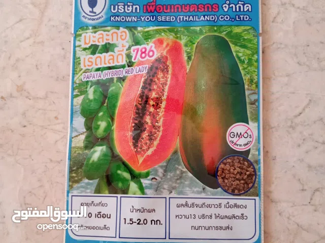 بذور بابايا نوع red lady انتاج تايلاند