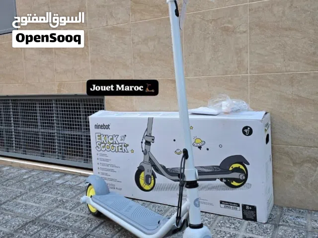 TROTTINETTE NINEBOT ZING C10