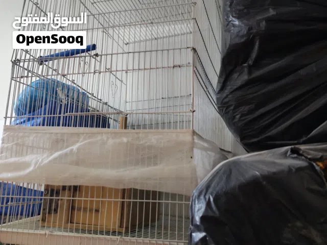 اقفاص متنوعه للبيع بسعر معقول
