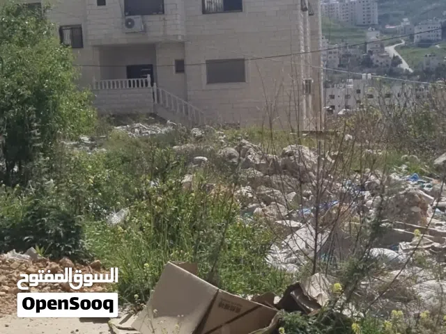 Residential Land for Sale in Nablus Beit Wazan