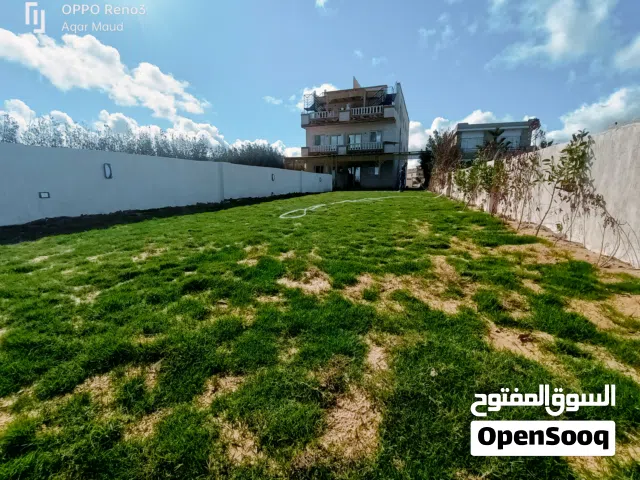 3 Bedrooms Farms for Sale in Matruh Hammam