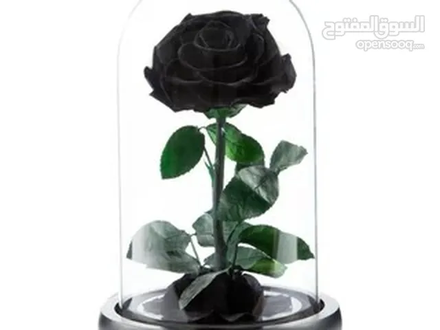 Forever black rose - La Belle