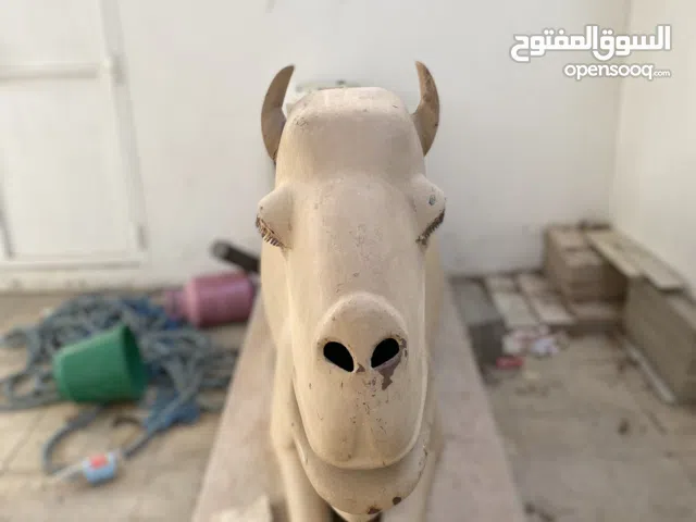 تمثال جمل للبيع حديد بس يبغى يصبغ