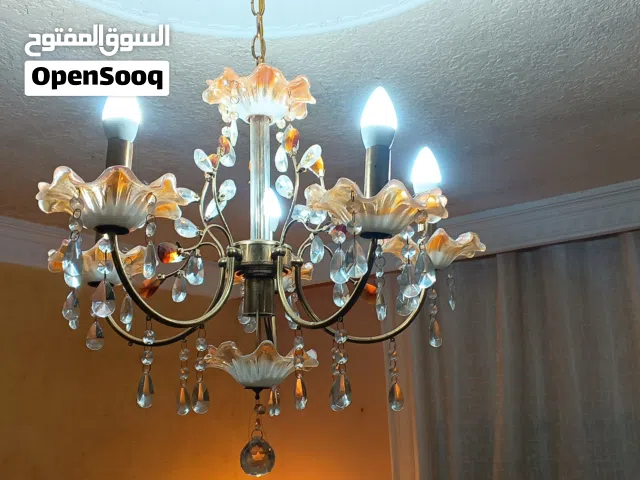 ثرية للبيع بسعر مناسب عدد2