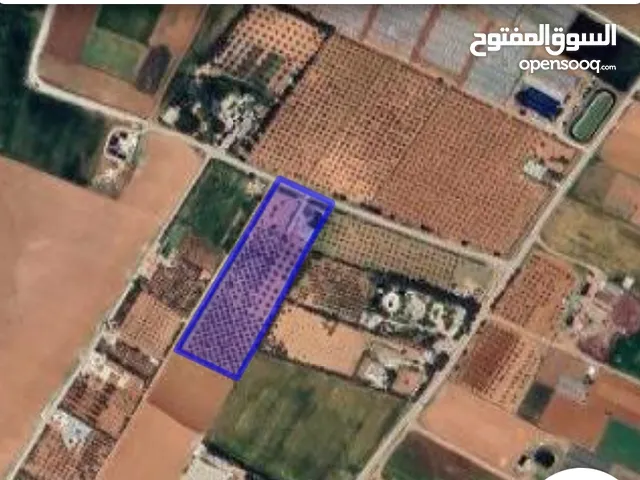 Farm Land for Sale in Madaba Al-Jbeil