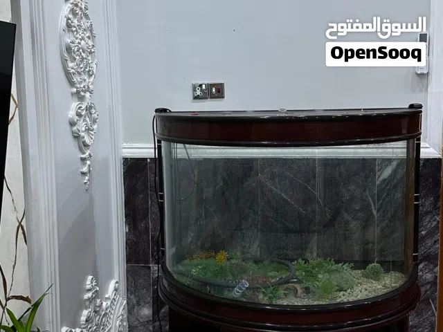 حوض سمك الطول متر ونصف العرض متر