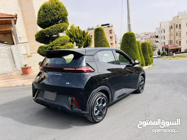 Used BYD Seagull in Amman