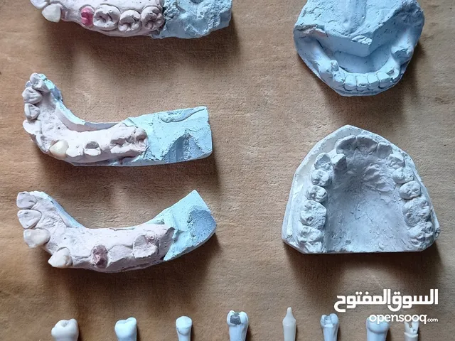 اسنان و نماذج اسنان ومواد طب اسنان (( مجموعة 1 ))