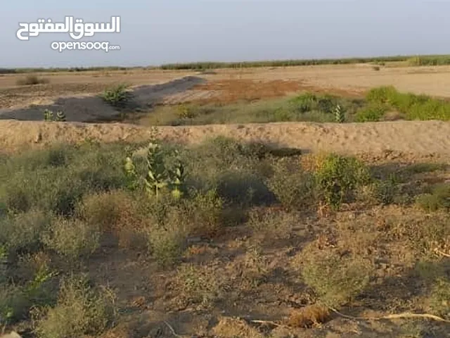 More than 6 bedrooms Farms for Sale in Al Hudaydah Other