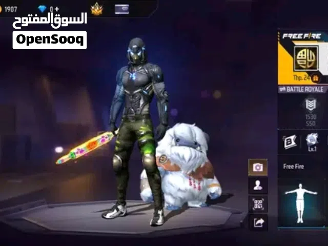 Free Fire Accounts and Characters for Sale in Cairo