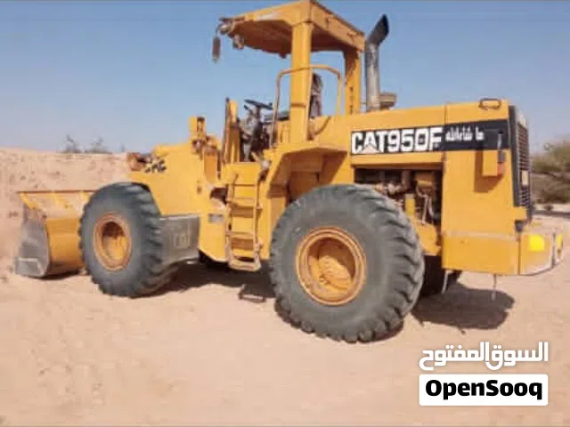 شيول كواسكي حجم 85